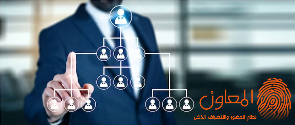 اعداد الهياكل التنظيمية والتوصيف الوظيفى