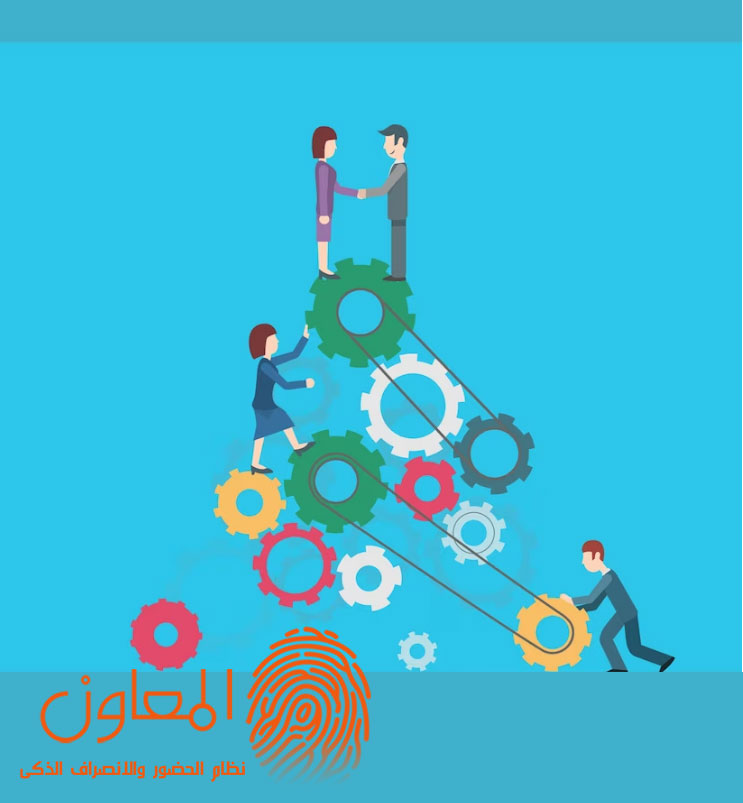 إدارة المواهب وتطويرها لتحسين العمليات داخل الشركة